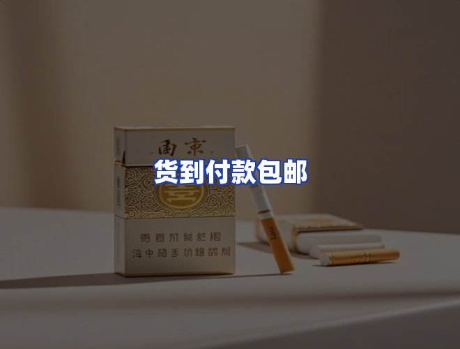 专业团队